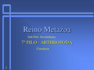 Reino Metazoa