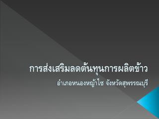 การส่งเสริมลดต้นทุนการผลิตข้าว อำเภอหนองหญ้าไซ จังหวัดสุพรรณบุรี