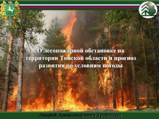 О лесопожарной обстановке на территории Томской области и прогноз развития по условиям погоды