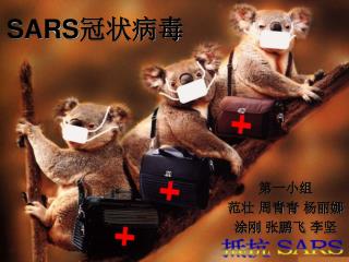 SARS 冠状病毒
