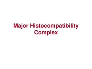 Major Histocompatibility Complex