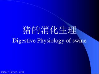 猪的消化生理 Digestive Physiology of swine