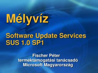 Mélyvíz Software Update Services SUS 1.0 SP1