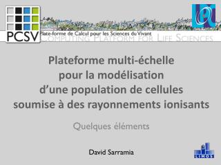 Quelques éléments David Sarramia