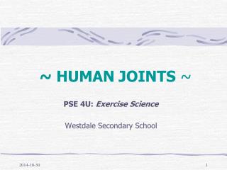 ~ HUMAN JOINTS ~