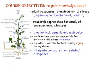 COURSE OBJECTIVES: to gain knowledge about
