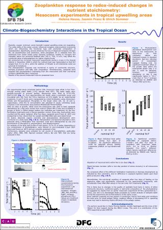 Climate-Biogeochemistry Interactions in the Tropical Ocean