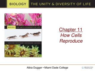 Chapter 11 How Cells Reproduce