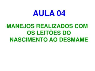 AULA 04