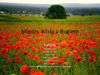 Między Wisłą a Bugiem