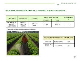 RESULTADOS DE VALIDACIÓN EN FRIJOL, SALVATIERRA, GUANAJUATO, 2005-2006