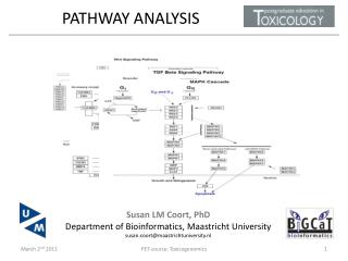PATHWAY ANALYSIS