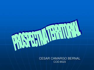 CESAR CAMARGO BERNAL COD:8523