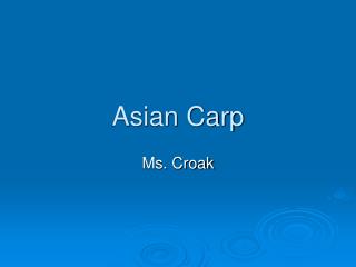 Asian Carp