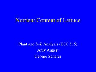 Nutrient Content of Lettuce