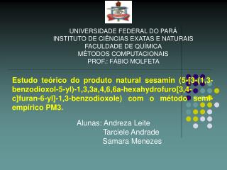 UNIVERSIDADE FEDERAL DO PARÁ INSTITUTO DE CIÊNCIAS EXATAS E NATURAIS FACULDADE DE QUÍMICA