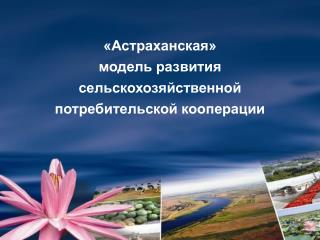 «Астраханская» модель развития сельскохозяйственной потребительской кооперации