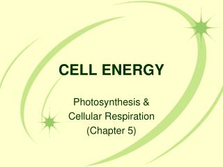 CELL ENERGY