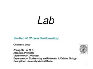 Lab