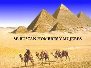 SE BUSCAN HOMBRES Y MUJERES