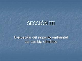 SECCIÓN III