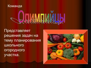 Олимпийцы