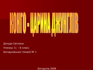 Долуди Світлани Учениці 11 – Б класу Богодухівської гімназії № 1