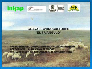 GGAVATT OVINOCULTORES “EL TRIÁNGULO”