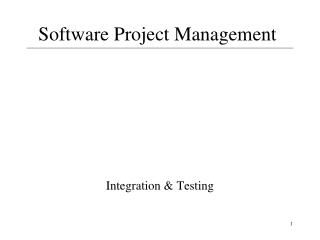 Software Project Management