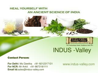 Indus Valley Hair Colour