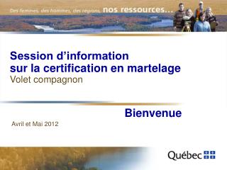 Session d’information sur la certification en martelage Volet compagnon