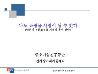 나도 쇼핑몰 사장이 될 수 있다 ( 인터넷 전문쇼핑몰 기획과 운영 전략 )