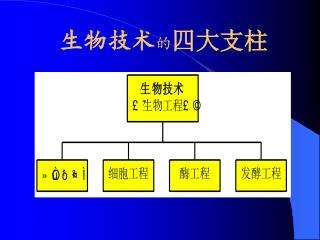 生物技术 的 四大支柱