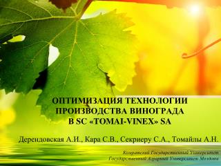 ОПТИМИЗАЦИЯ ТЕХНОЛОГИИ ПРОИЗВОДСТВА ВИНОГРАДА В SC «TOMAI-VINEX» SA