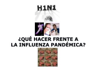 ¿Qué hacer frente a la influenza pandémica ?