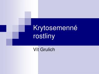 Krytosemenné rostliny