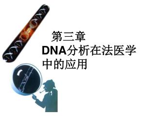 第三章 DNA 分析在法医学 中的应用