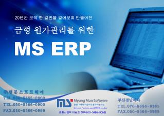 MS ERP