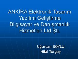 ANKİRA Elektronik Tasarım Yazılım Geliştirme Bilgisayar ve Danışmanlık Hizmetleri Ltd.Şti.