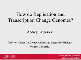 How do Replication and Transcription Change Genomes?