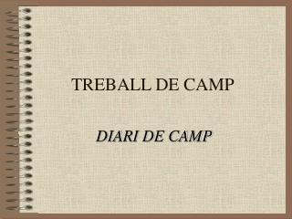 TREBALL DE CAMP