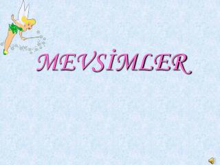 MEVSİMLER