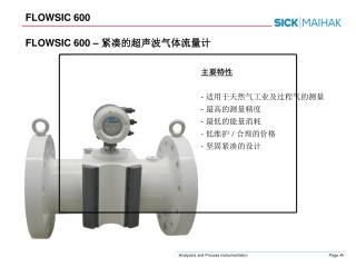 FLOWSIC 600 – 紧凑的超声波气体流量计