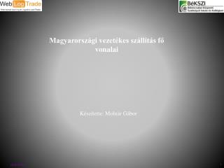 Magyarországi vezetékes szállítás fő vonalai