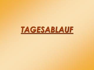 TAGESABLAUF