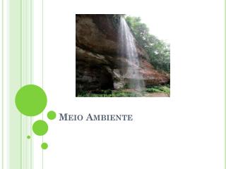Meio Ambiente