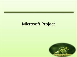 Microsoft Project