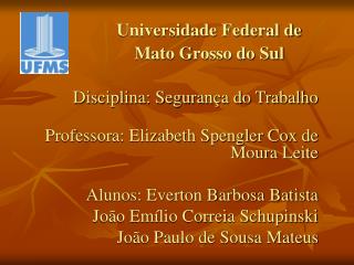 Universidade Federal de Mato Grosso do Sul