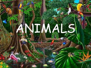 ANIMALS