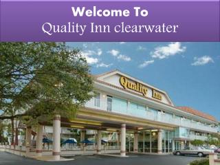 Quality inn clearwater,